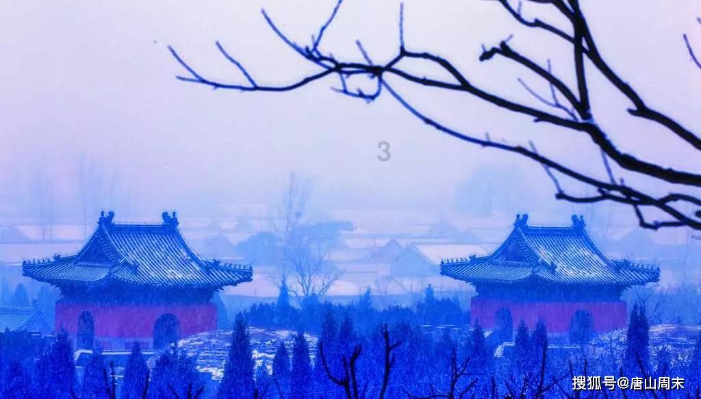 组装机械恐龙3